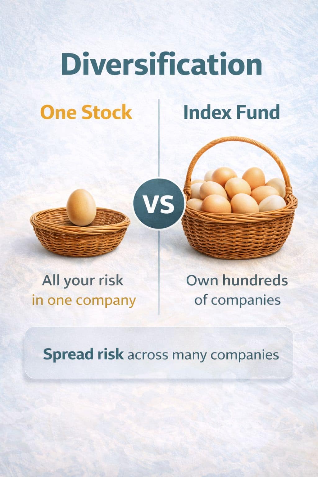 Diversification comparison chart showing one stock versus broad index fund